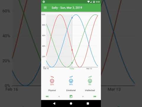 Biorhythms application video in English