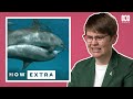 The Dark Side Of Dolphins Sex Lives REACTION