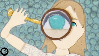 The Tiny Key to Ageing