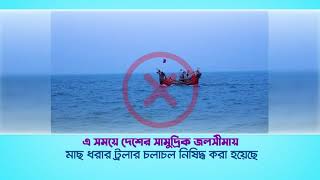 সাগরে ৫৮ দিন মৎস্য আহরণ নিষিদ্ধ (১৫ এপ্রিল থেকে ১১ জুন)