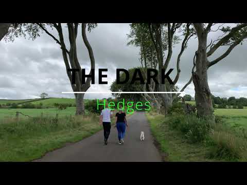 image-Why is it called the Dark Hedges?