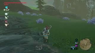 【SWITCH2】ゼルダの伝説　ブレスオブザワイルドを初見プレイ