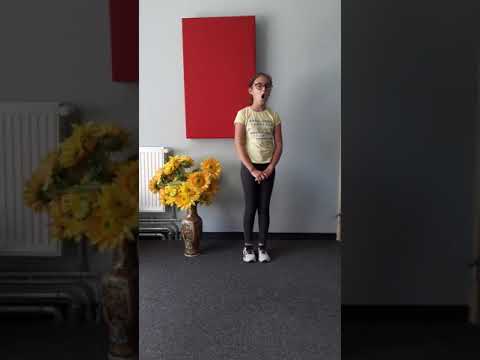 Agata Kalachurka-Śrubki Pana Michała,kat. IV-VI