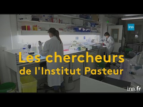Pasteur Institute: 135 years of scientific discoveries | Franceinfo INA
