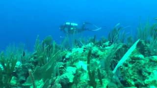 preview picture of video 'SCUBA Diving Puerto Rico with Aqua Adventure'