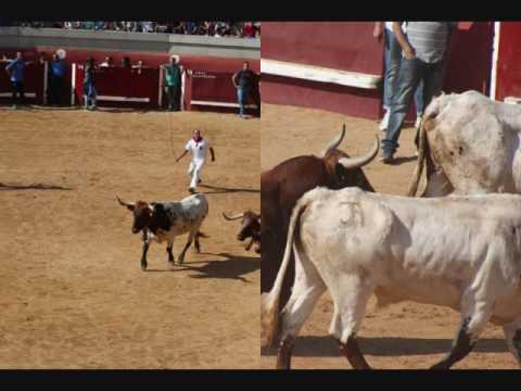 ENCIERRO TORRES DE LA ALAMEDA sabado 1-10-2016