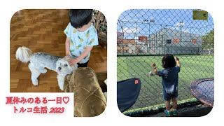 【2児ママの日常】2023トルコの夏休み/朝ごはんや日用品買い出しday #001