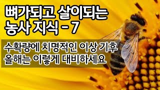 수확량에 치명적인 이상기후 대처법 - 뼈가되고 살이되는 농사지식 7