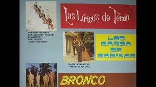 Bronco - Vagabundo (1984)