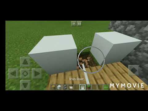 Minecraft (Secret Storage Room)