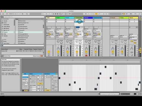 How to Timestretch Automation :2 and *2 in Ableton Live