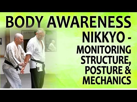 EXPLORING THE NIKKYO WRIST LOCK | MONITORING STRUCTURE, POSTURE & MECHANICS