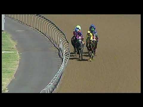 20200318 Hollywoodbets Greyville express clip Race 4 won by RAILTRIP