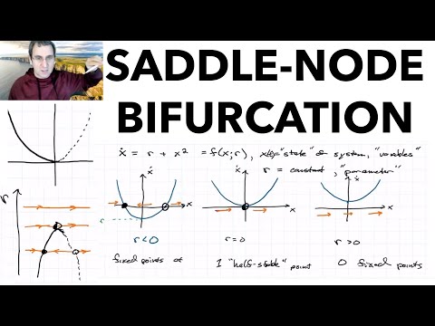 Bifurcations Part 1, Saddle-Node Bifurcation
