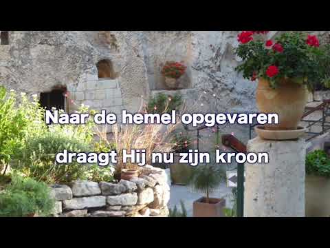 Opwekking 313 In een donker graf gevangen 1B