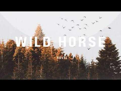 RAVAL - Wild Horse