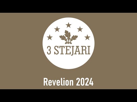 Petrecere Revelion 2024 - 3 Stejari Brasov