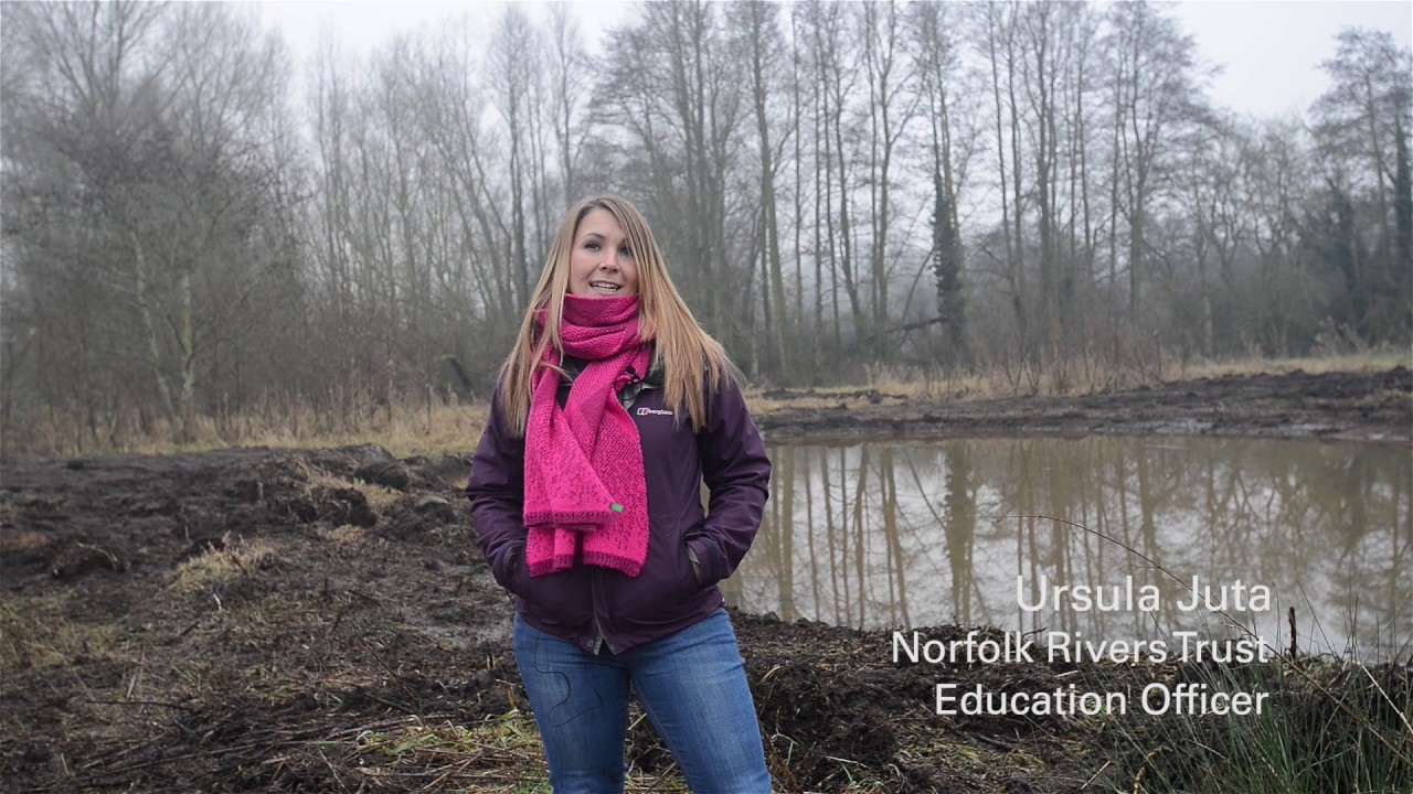 The Glaven Eel Project