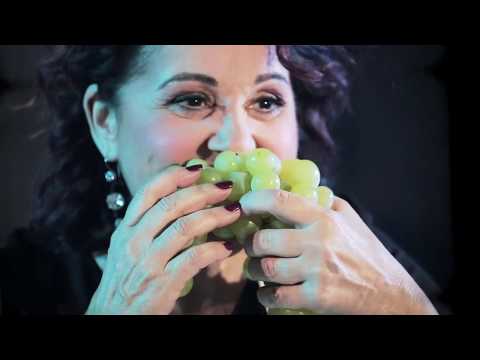 Roberta Cappelletti - La bottega (Ritmo allegro, dai tempi passati) Video ufficiale