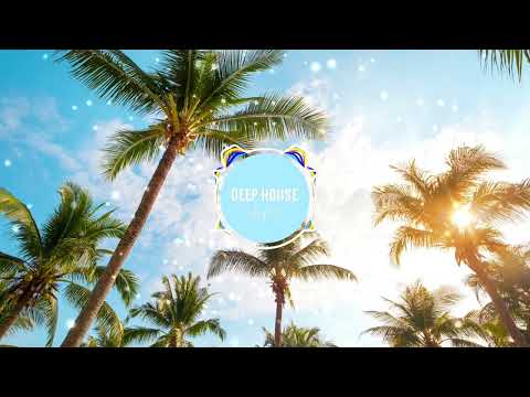 Disconfect feat. Andrea Martin - Story Of My Life (Chris IDH Mfu Rmx)