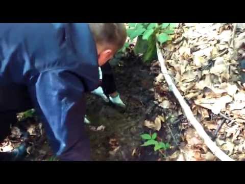 Asanare de muniţie neexplodată la Oituz. Imagini ISU Covasna