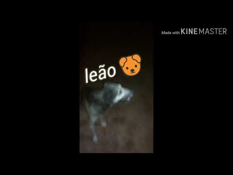 Trilha da macumba 2 ✝✝ (caçadores de recompensas)