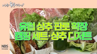 [나는농부다 297회] 유럽 상추 판로 확장 캠핑 세트·상추 디저트