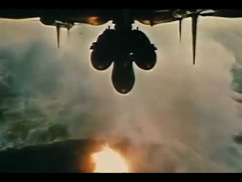 Они на деревьях | Вьетнам