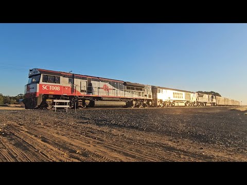 2PM9 SCT up "Dark Ghost #2" (SCT CSR SCT, 100P), Forrestfield to Laverton, 2005, 5/2/26, Dooen VIC 