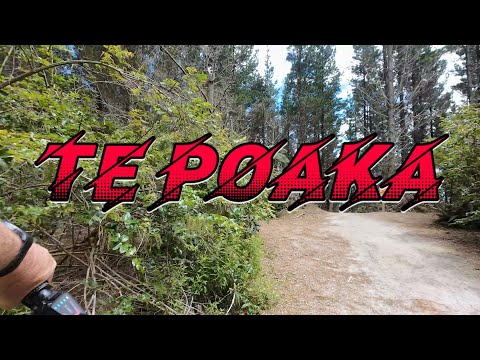 TE POAKA November 2025.