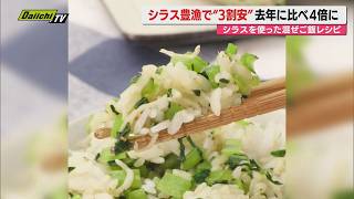 【献立予報】旬＆お得な食材と簡単レシピを紹介！夕飯献立の参考に　今回は｢シラス｣(静岡)