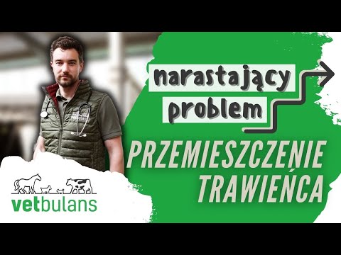 , title : 'Przemieszczenie trawieńca - o co w tym chodzi? Lekarz weterynarii wyjaśnia.'