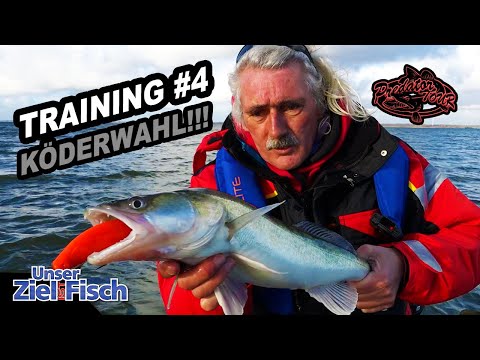 GROßE KÖDER: DICKE ZANDER - Training #4 Predatortour - Jörg Ovens -Unser Ziel ist Fisch-Angelschule