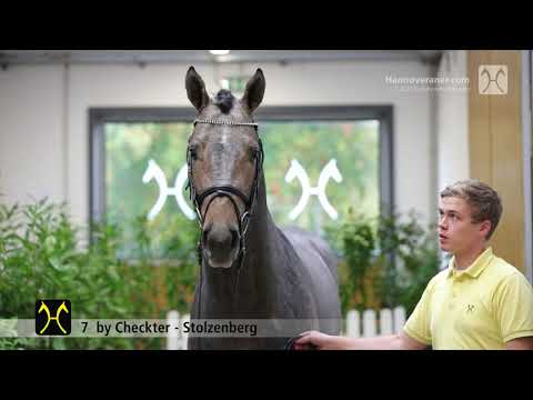 Verden Stallion Licensing 2021 - Jumping - Dec. 2-4 - No. 7 Stallion by Checkter - Stolzenberg