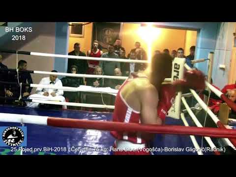 2-18 BH BOKS / Biber-Gligorić /25.Seniorsko Pojedinačno prv.BiH-2018