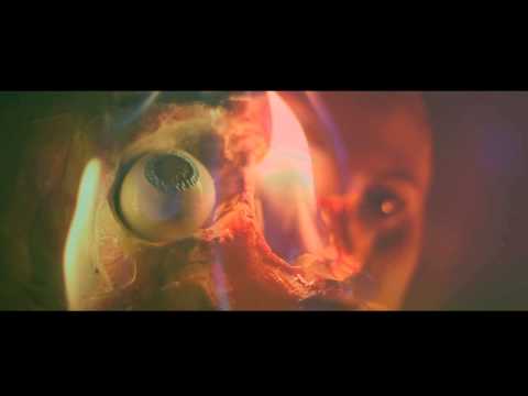 A Song for a Future Phoenix [OFFICIAL MUSIC VIDEO] - Matthew Squires and the Learning Disorders