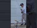 Ugly Stik Dock Runner The BEST Spinning Rod And Reel Combo Challenge Fishing Fishingvideo