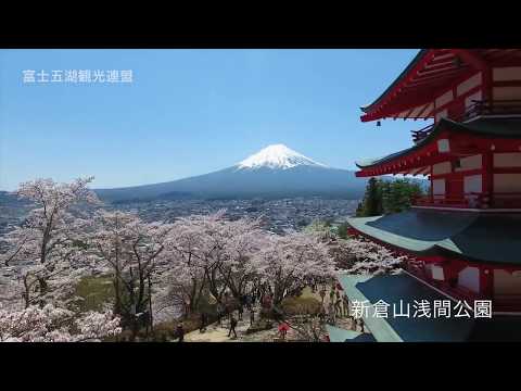 新倉山浅間公園(忠霊塔)の桜