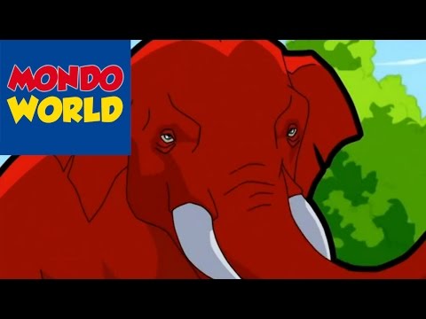 download lagu mp3 mp4 The Red Elephants, download lagu The Red Elephants gratis, unduh video klip The Red Elephants