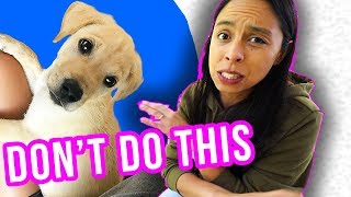 Prepare for Puppy&#39;s FIRST Day Home: ❌ What NOT To Do!! ❌