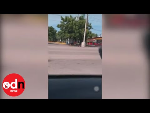 Crazy Gun Fight in Mexico As Officers Hunt Down El Chapo’s Son