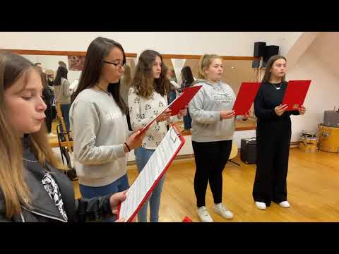 Austrian Anthem - cover by House of good tones choir