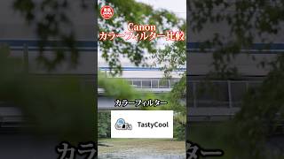 Canonカラーフィルター比較 #canon #eosr6mark3 #shorts