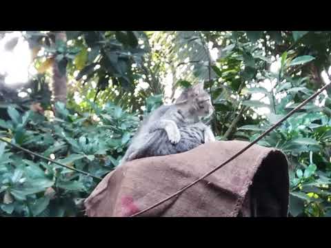 Un cut scene of Titaanik moovie.  @dolanaretumidolanandyou5519