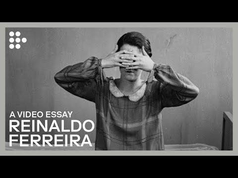 Video Essay: "Reinaldo's Motifs" | FILMADRID & MUBI: The Video Essay