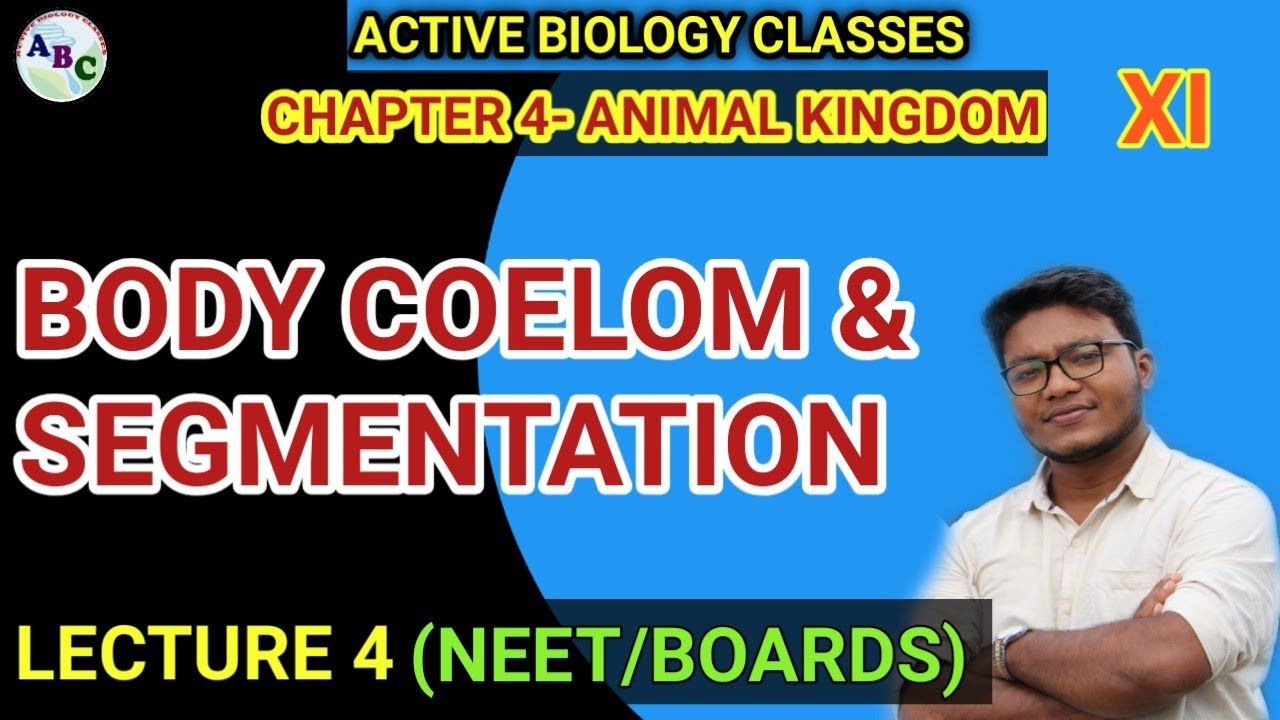 animal kingdom - body cavity or body coelom | segmentation biology class 11 | notochord class 11
