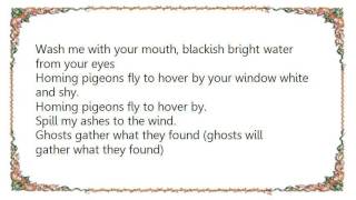 Laura Veirs - Magnetized Lyrics