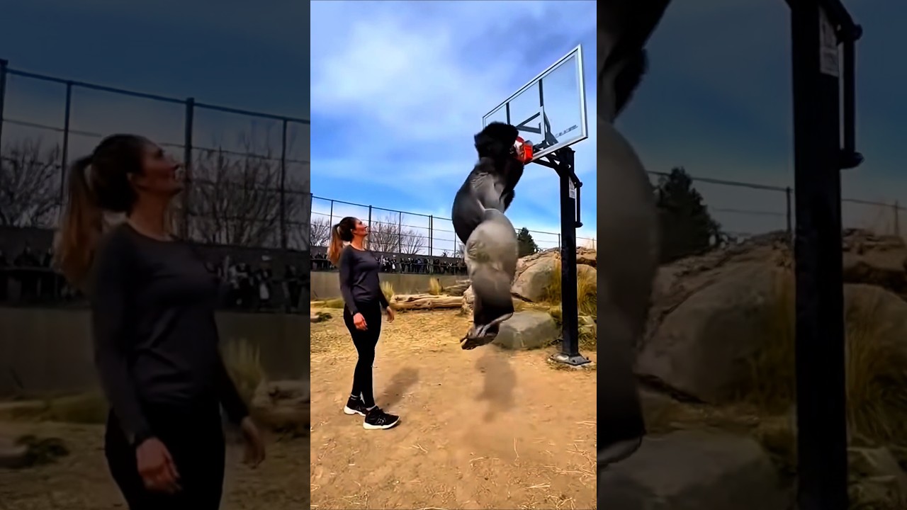 SHE MOCKED THE GORILLA… INSTANT REGRET.#shorts