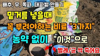 (이벤트)배추 무 쪽파 대파 밭 만들기 밑거름 넣을때 꼭 뿌려야하는 비료 3가지 농약 없이 이것으로 병해충까…