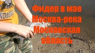 Рыбалка на москве реке в коломне форум